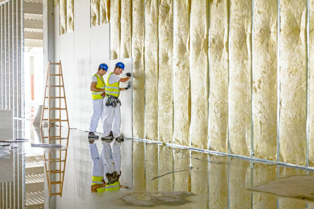 Best Commercial Insulation in Lake Mohegan, NY